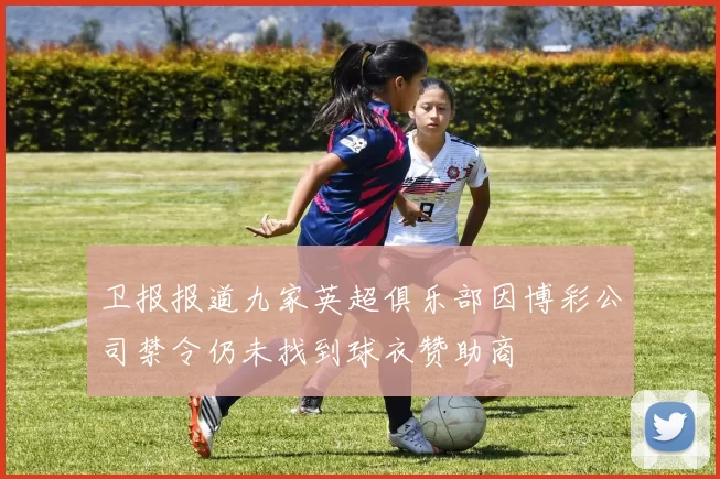 卫报报道九家英超俱乐部因博彩公司禁令仍未找到球衣赞助商
