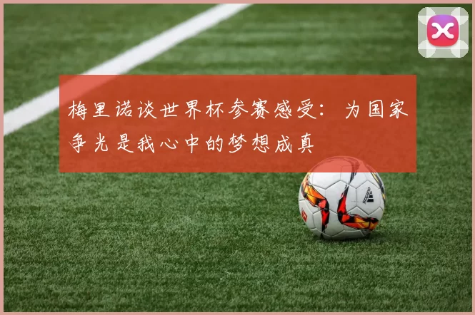 梅里诺谈世界杯参赛感受：为国家争光是我心中的梦想成真